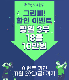 11월3부그린피할인